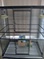Click to view classifieds AZWOLJZD
