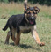 Click to view classifieds WYTTJJGC