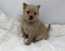 Click to view classifieds KVXMLJEN