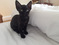 Click to view classifieds ZBJQKZXG