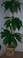 Click to view classifieds XXOEUFNE