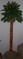 Click to view classifieds HWVZGEHT