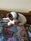 Click to view classifieds CSCUWSXR