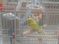 Click to view classifieds GCXJHOCL