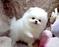 Click to view classifieds YDECNYMQ