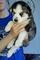 Click to view classifieds HMQOWSZR