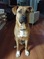 Click to view classifieds BCVEXWBZ