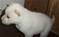 Click to view classifieds ROQRUEKK