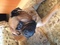 Click to view classifieds JEKQJFBL