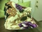 Click to view classifieds OLCASGMG