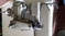 Click to view classifieds BUPHXJCZ