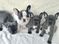 Click to view classifieds PQKYZFJA