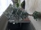 Click to view classifieds HDTRGOLT