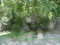 Click to view classifieds HSQJFRRM
