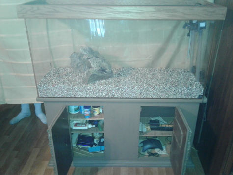 just add water and fish
