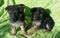 Click to view classifieds QNHJSPRC
