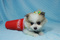 Click to view classifieds AGCNCVGO