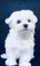 Click to view classifieds EBKPNWEN