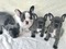 Click to view classifieds LPPKBHBE