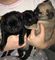 Click to view classifieds CYSOLYGB