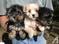 Click to view classifieds GRCUFXFA