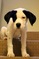 Click to view classifieds JSWUGDDO