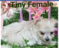 Click to view classifieds FTLHCVPZ
