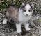 Click to view classifieds UDQECDFH
