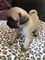 Click to view classifieds XKEGHNGK