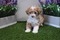 Click to view classifieds ACJYUONQ