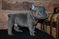 Click to view classifieds THMDZOFK