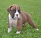 Click to view classifieds NTYZDWFY