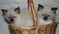 Click to view classifieds UFJSMVVQ