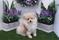 Click to view classifieds KLYTCFUA