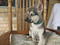 Click to view classifieds HBRTLBAL