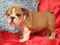 Click to view classifieds CQLUZYGY