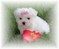 Click to view classifieds JONZJPSC