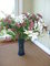 Click to view classifieds QXTLNBVQ