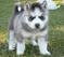 Click to view classifieds GLULNJKW