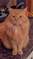 Click to view classifieds JXLTCTAA