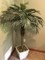 Click to view classifieds TLCCCDYF