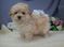 Click to view classifieds ZDWHYUMD