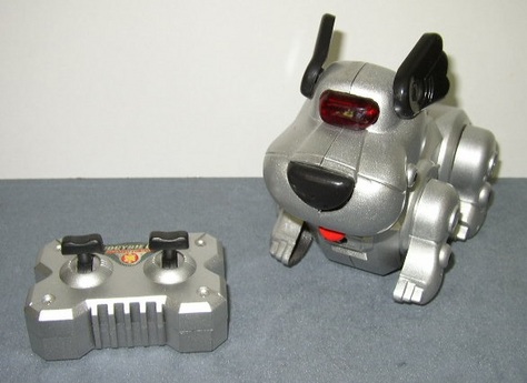 Biocybie Dog, Infrared Control
