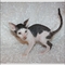 Click to view classifieds YUEPJZOP