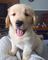 Click to view classifieds MLKBMBOD