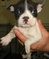 Click to view classifieds ELVKHQJG