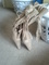 Click to view classifieds RQADKTBT