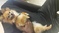 Click to view classifieds TOTVBPGU