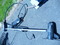 Click to view classifieds FMKLBHMO
