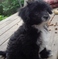 Click to view classifieds UFDVAUYP
